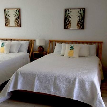 Pineapple Shores Inn Unit 1 デイトナ・ビーチ エクステリア 写真